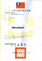 BlueEyes Technology Licenses, Trademarks, Patents